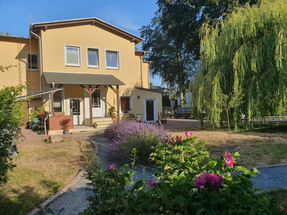 Ferienwohnung Paul 奥斯特西巴德钦诺维茨 外观 照片